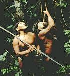 Ecuador: Amazon jungle