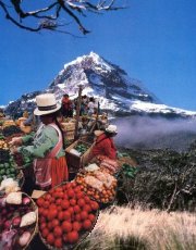 Ecuador: the Andes and Indian markets